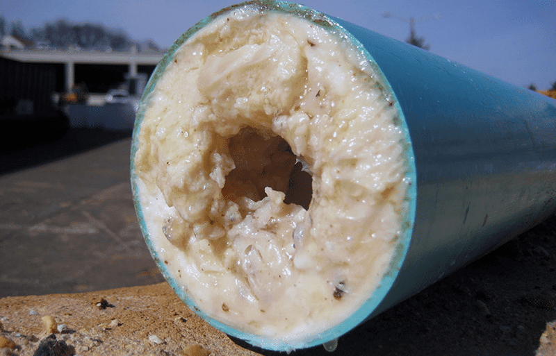 Fatberg blocking drain pipe