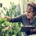 Woman gardening