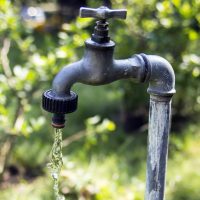 garden tap garden tap